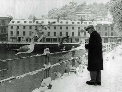 PR7037 - Man Feeding Gulls in February 1963