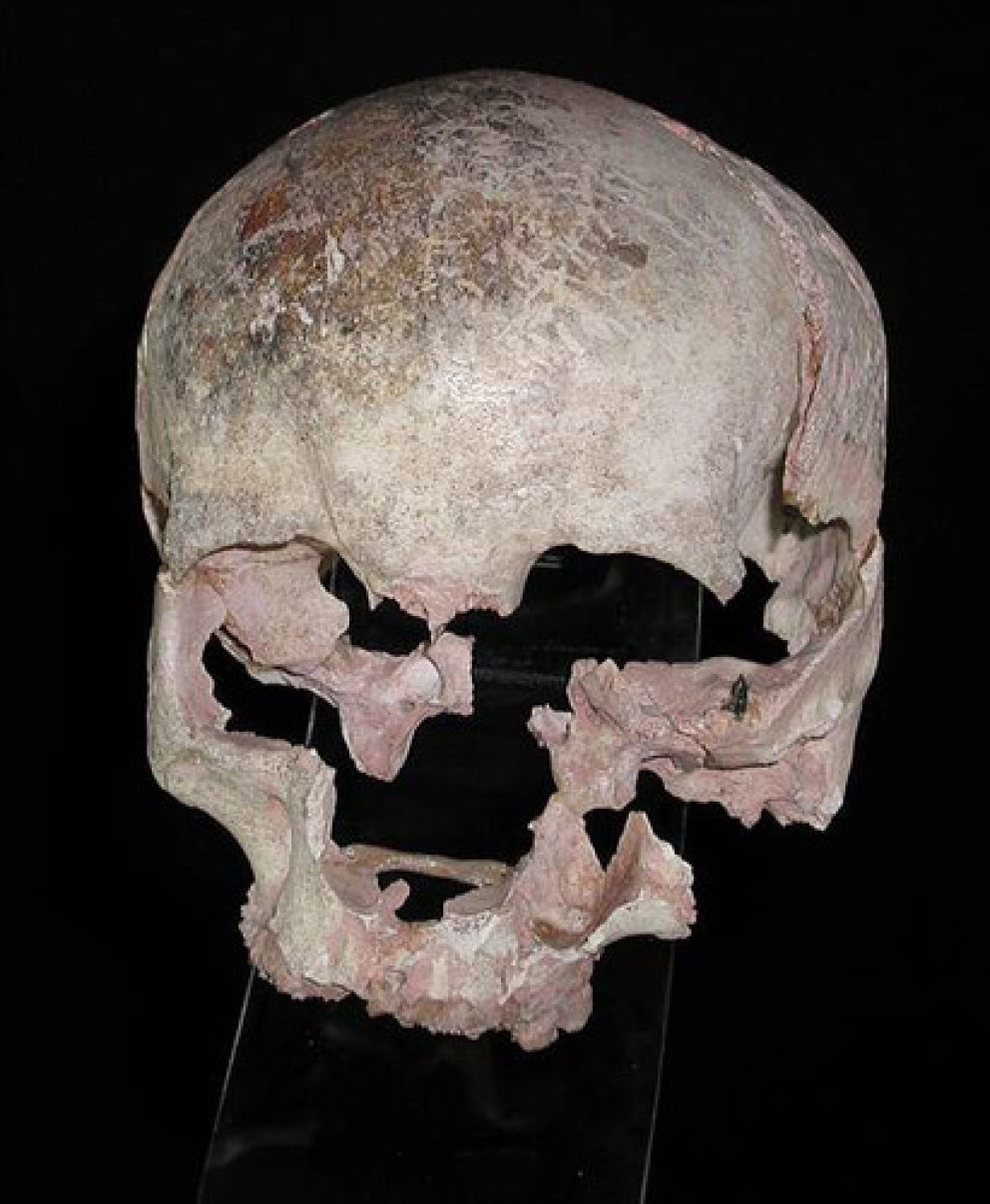 archaeological specimen from Torbay