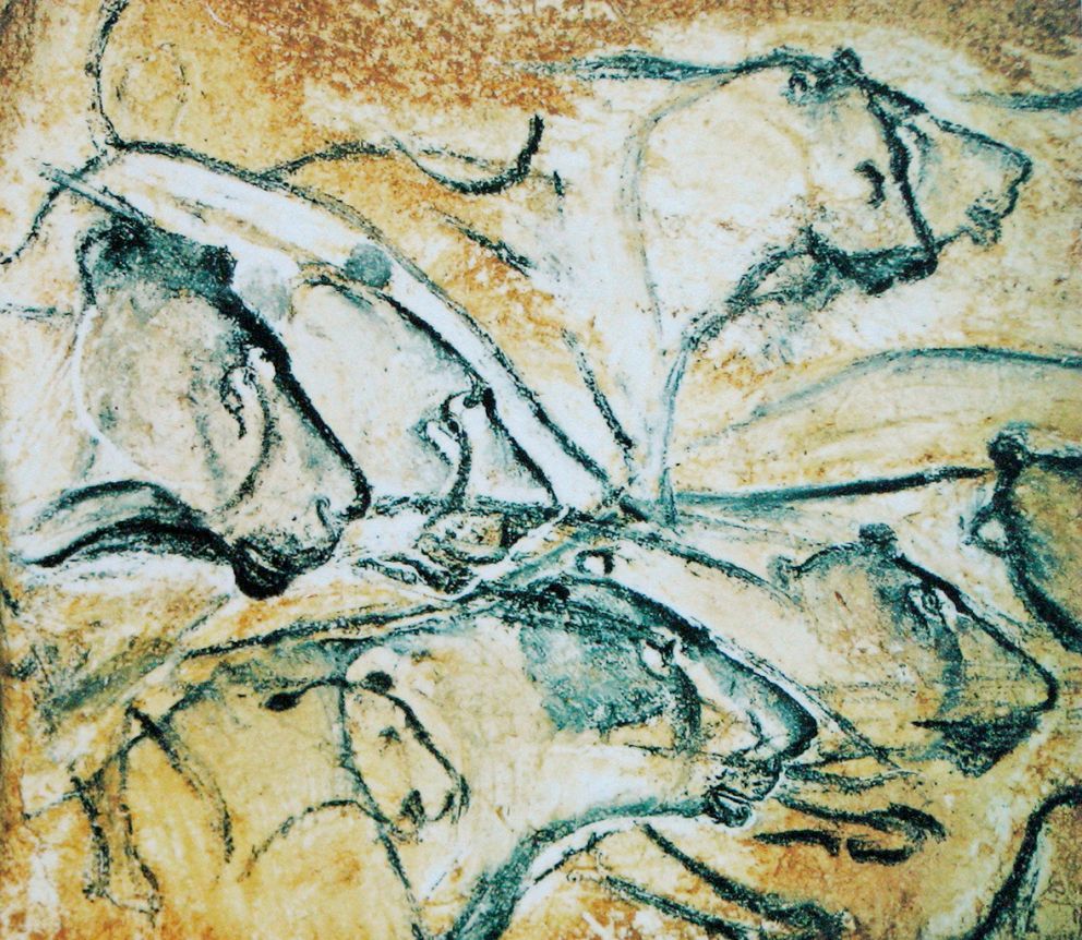 Lions Painted in Chauvet Cave