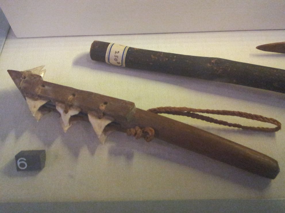 Shark Tooth Skin Cutter