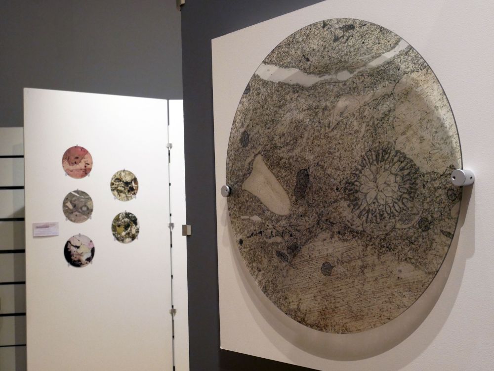 Beneath Our Feet Exhibition