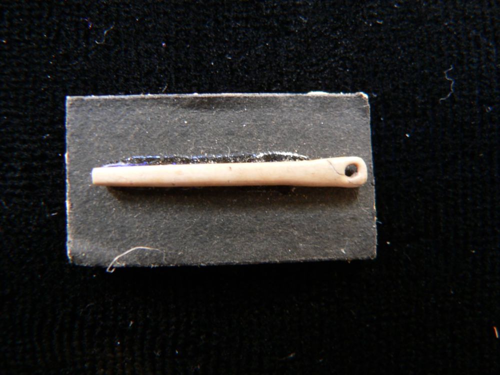 Palaeolithic Bird Bone Needle
